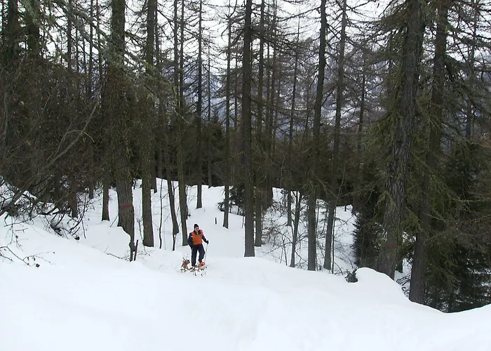 Mont Mars Bed & Breakfast Fontainemore